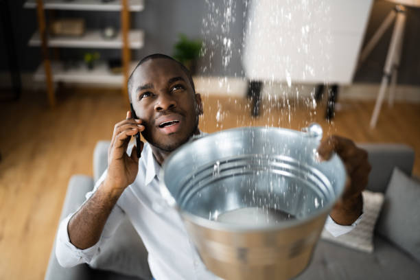 Best Residential water damage restoration  in Ellisville, MO
