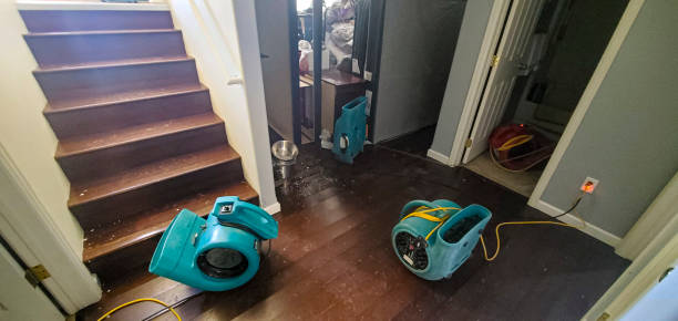 Best Carpet water damage restoration  in Ellisville, MO