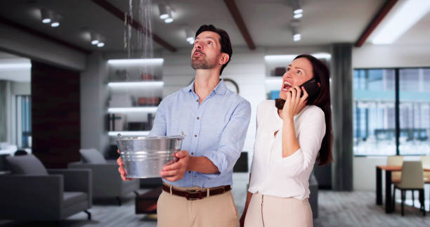 Best 24/7 water damage repair  in Ellisville, MO