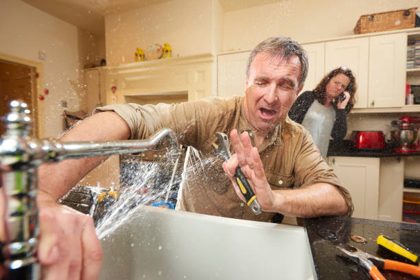 Best 24-hour water damage restoration  in Ellisville, MO
